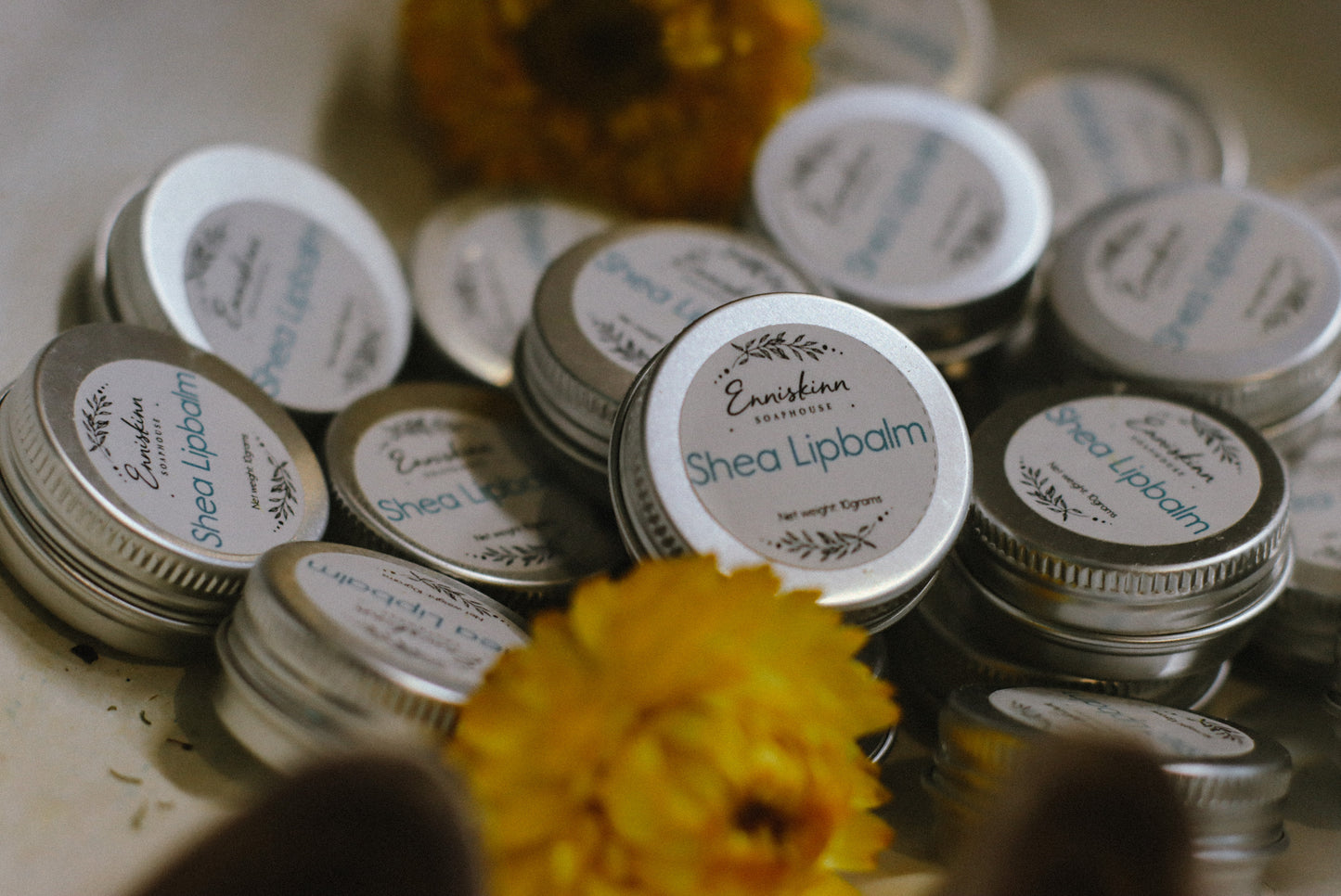 Shea & Avocado LipBalm
