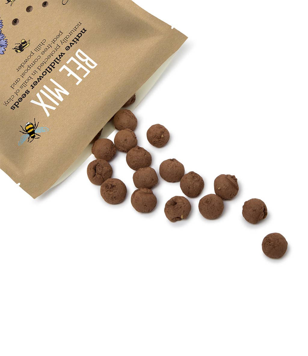 Seedball Wildflower Grab Bags - Bee Mix