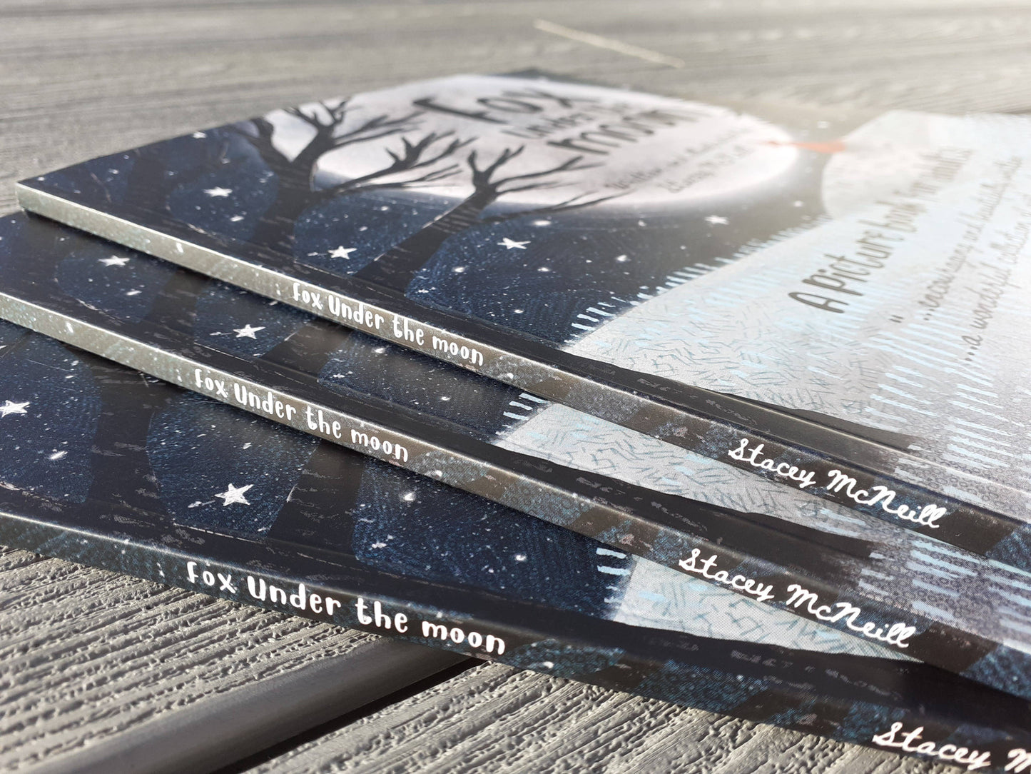 Book: Fox Under The Moon Book (book 1)