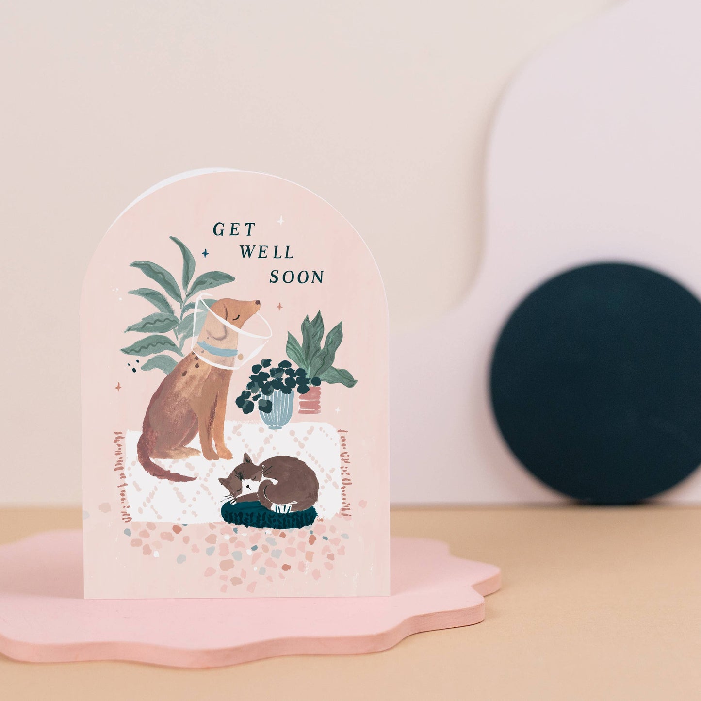 Cat and Dog Get Well Soon Card | Get Well Soon Cards | Cards