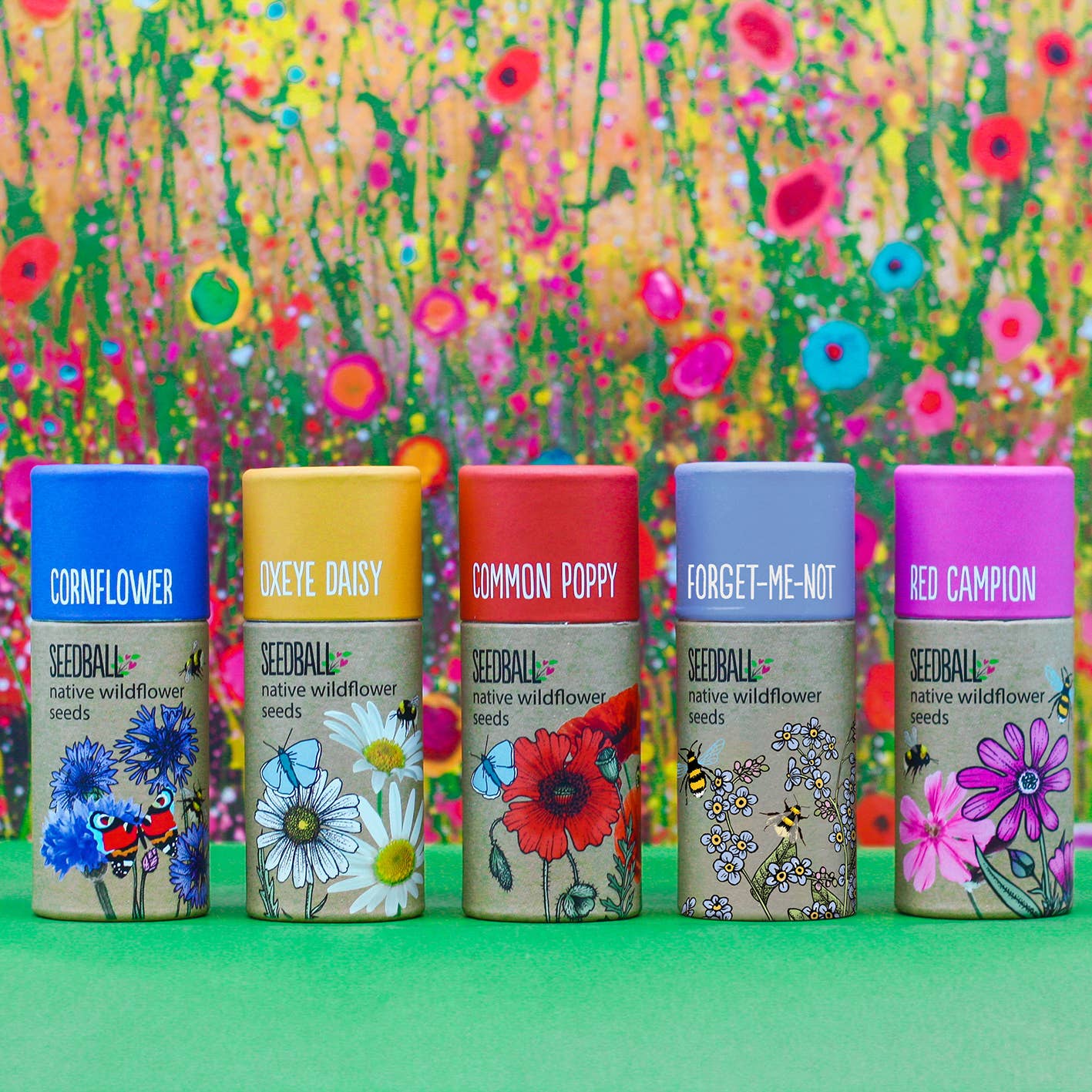 Wildflower Seedball Tubes - Mixed Box