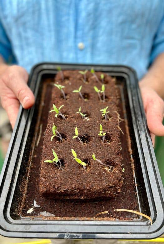 The Bouquet Growbar