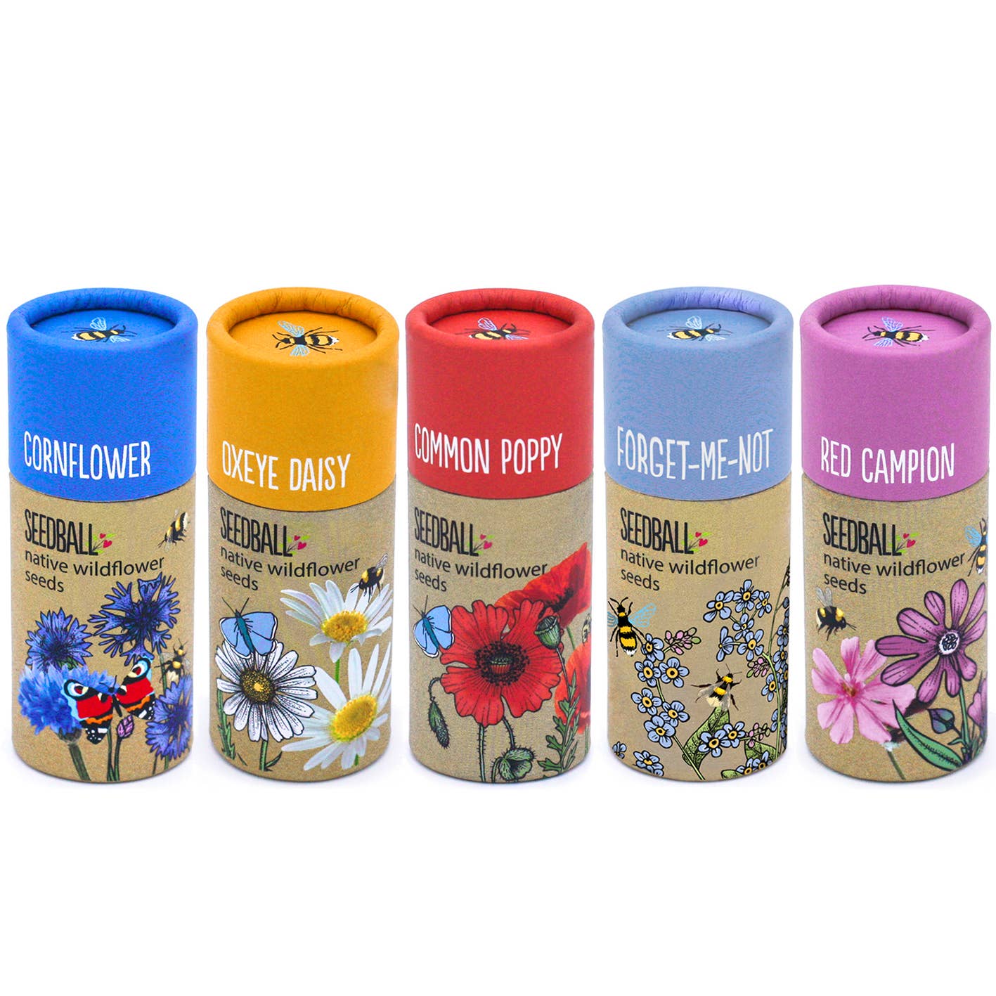 Wildflower Seedball Tubes - Mixed Box