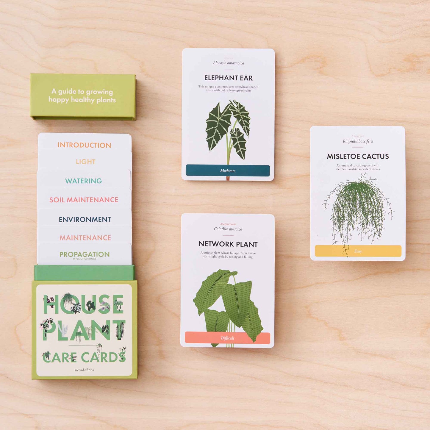Houseplant Care Cards, Edition 2