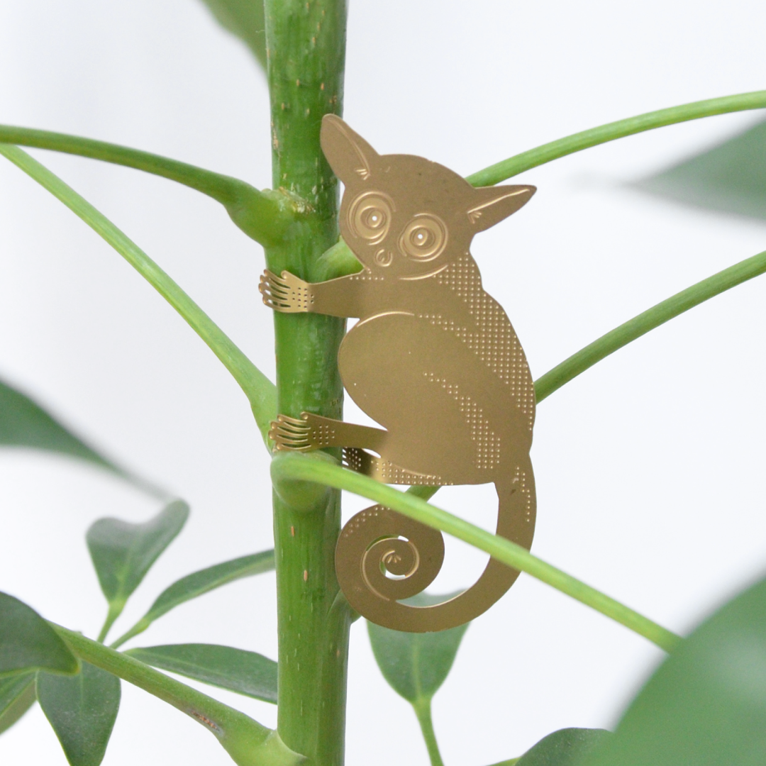 Plant Animal - Bush Baby, hanging plant decoration